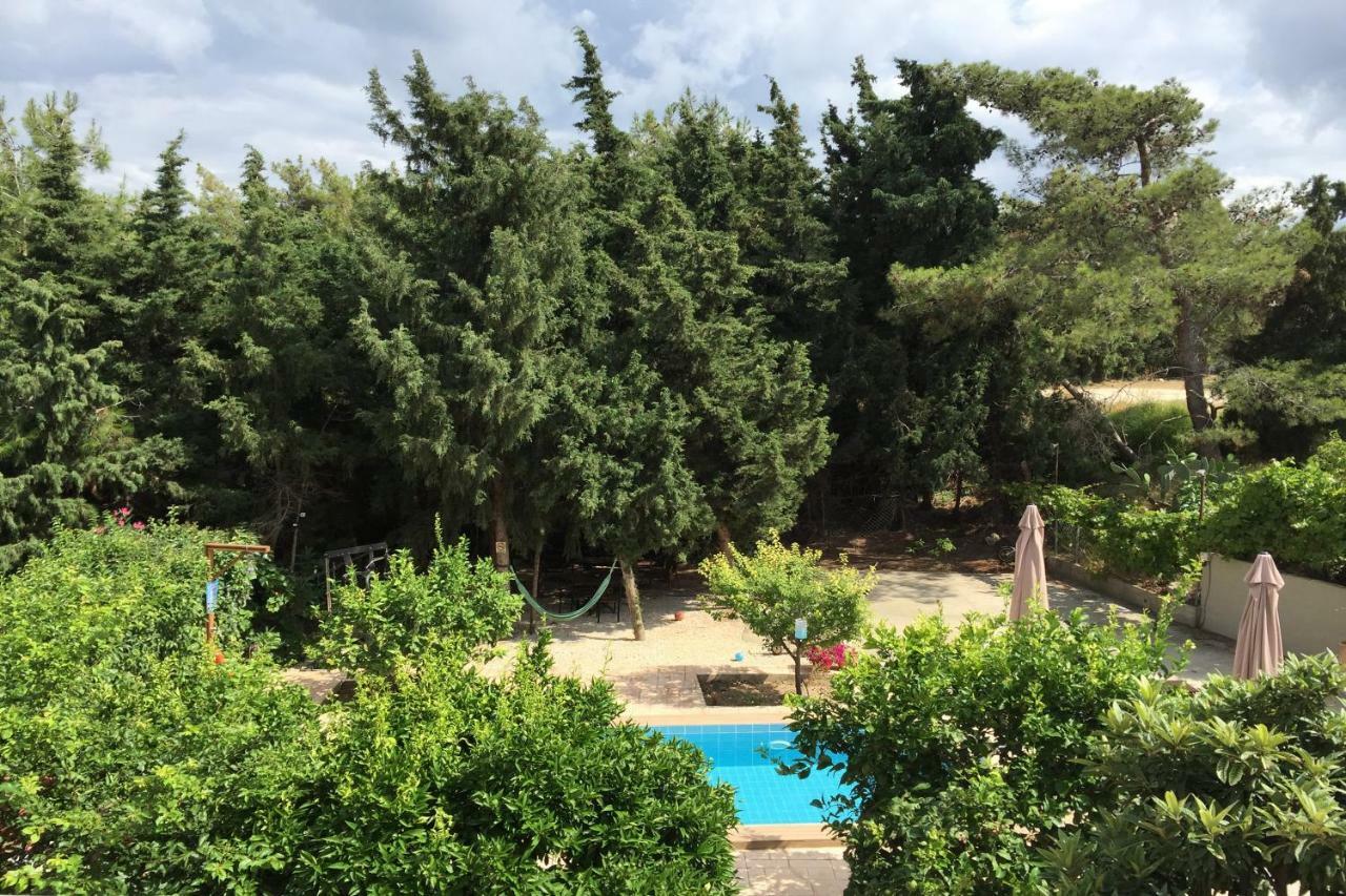 Sunny Rhodes Villa Коскіну Екстер'єр фото